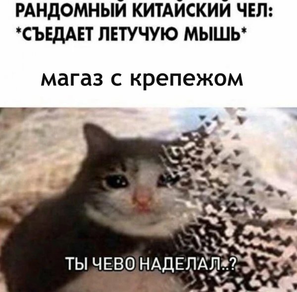 Мем про карантин и коронавирус