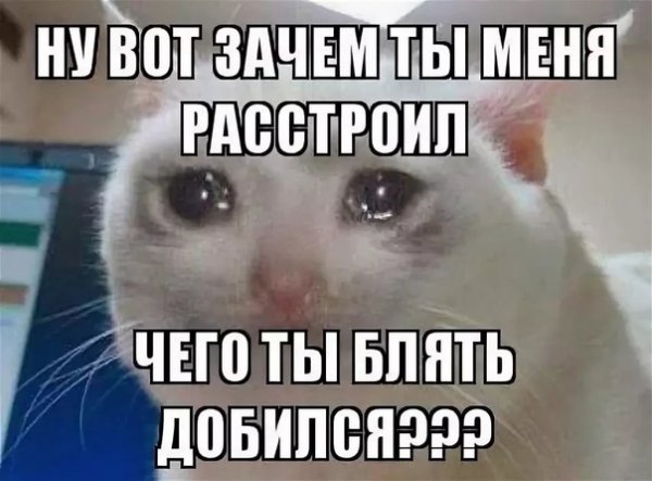 Ну зачем ты меня расстроил чего ты добился