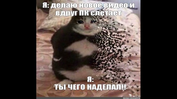 Вы чего наделали