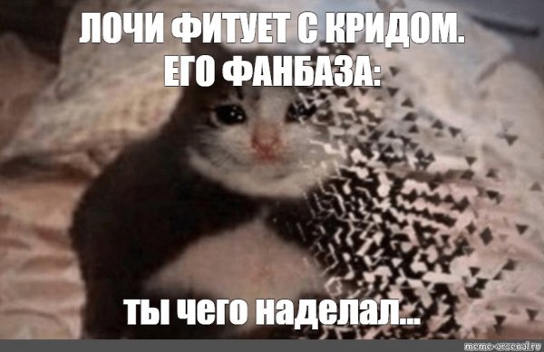 Исчезающий кот Мем