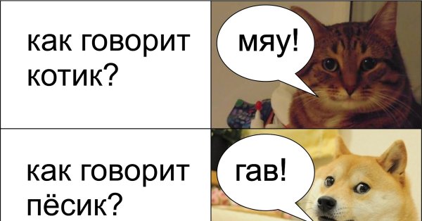 Екатерина Шульман мемыз