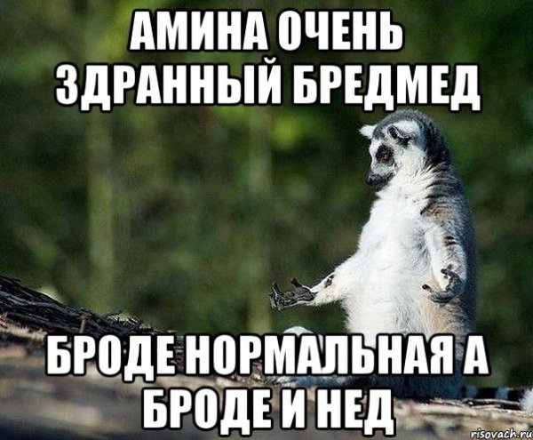 Амина приколы