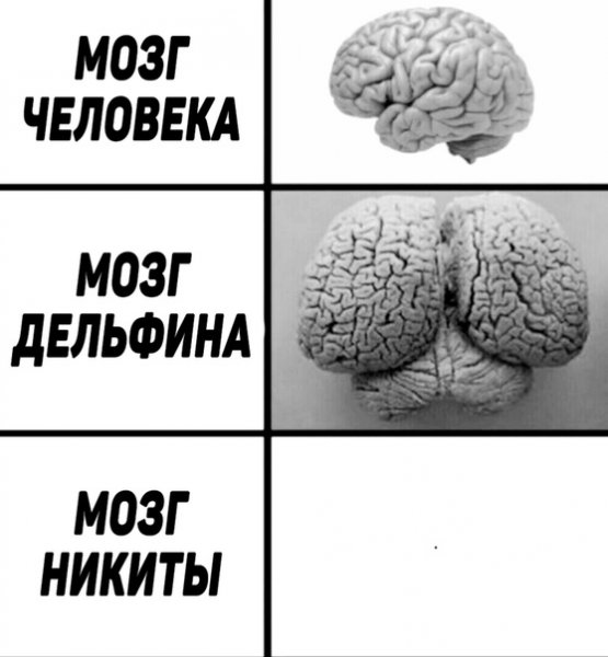 Мемы про Никиту смешные