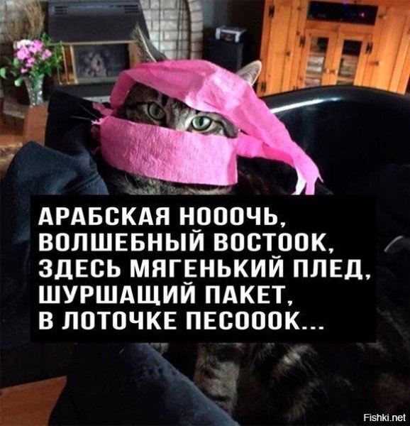 Гопник на ковре самолете