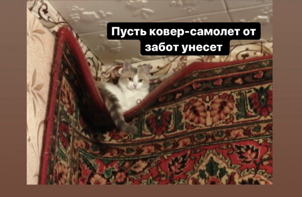 Арабская ночь дивный Восток