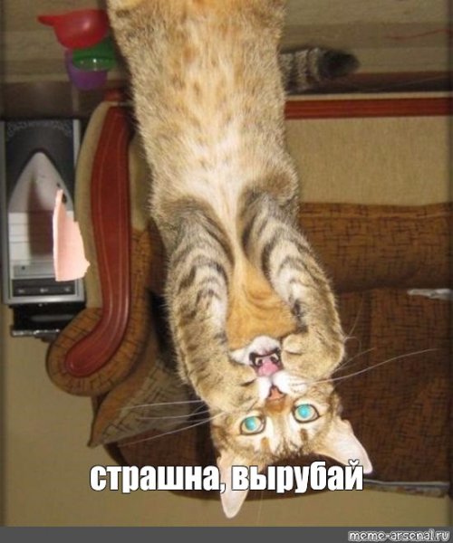 Страшно вырубай прикол
