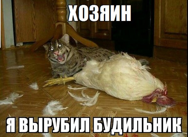 Страшно вырубай продолжение
