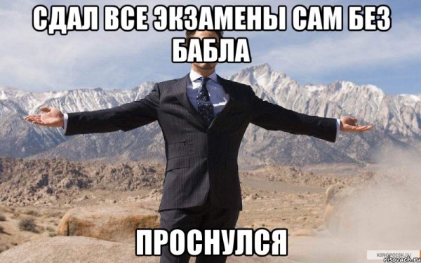 Котик хочет киску
