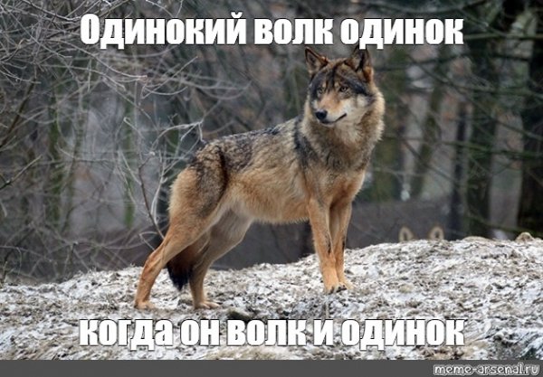 Мемы про одинокого волка (47 фото)