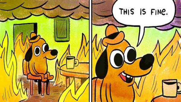 Its Fine Мем