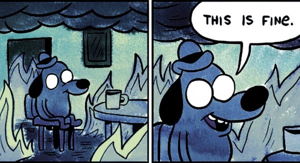 Мемы this is Fine