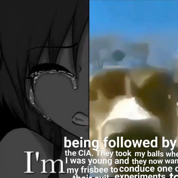 Мем im Fine crying girl