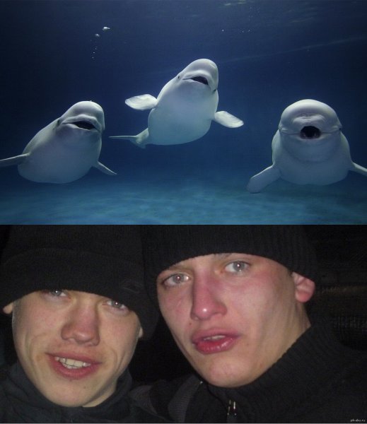 2 Пацана Мем