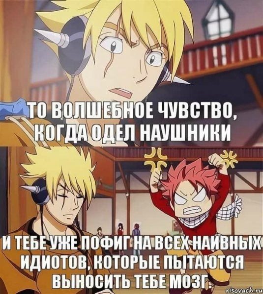Мемы по хвосту феи