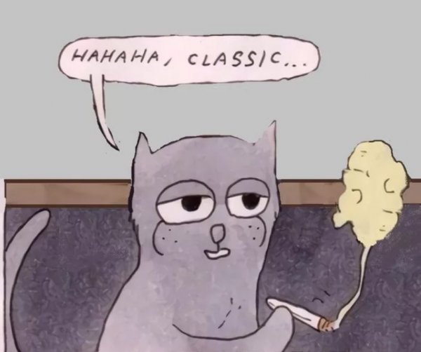 Кот хаха Классик