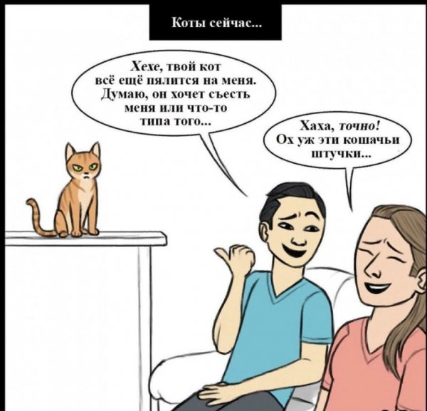 Комиксы тогда и сейчас коты