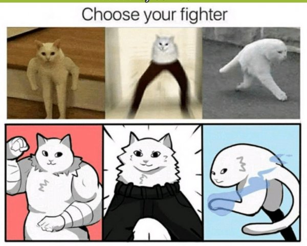 Choose your Fighter Мем