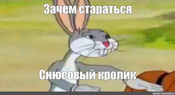 Hehe not hehe Мем котенок