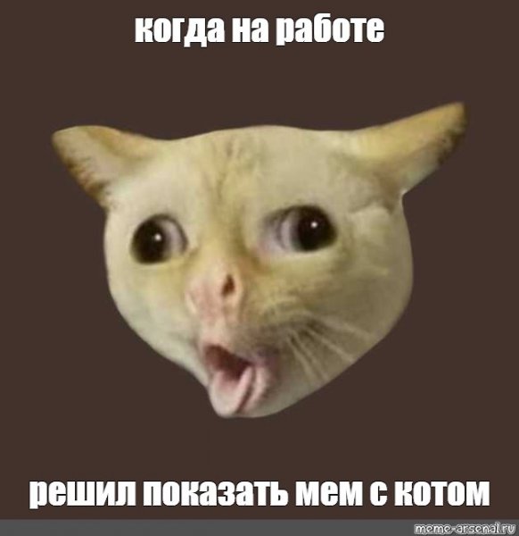 Кашляющий кот