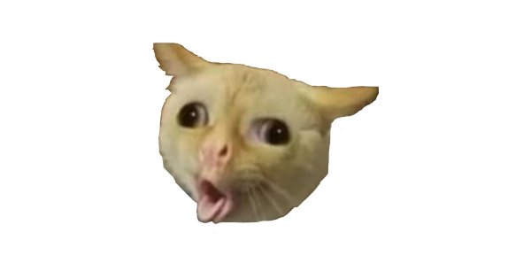 Кот Мем