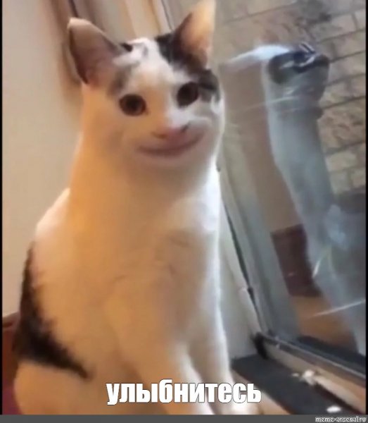 Кот с улыбкой Мем