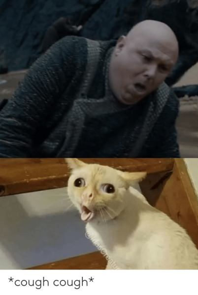 Котик кашляет Мем