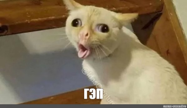 Кот кашляет Мем