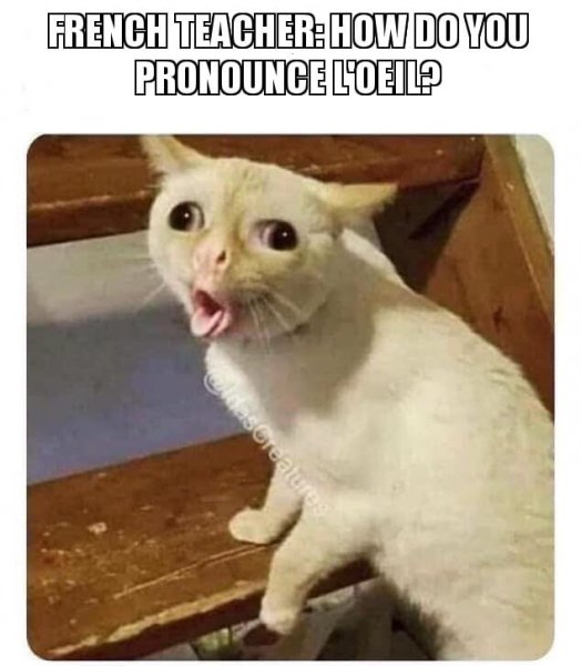 Sorry i don't speak croissant