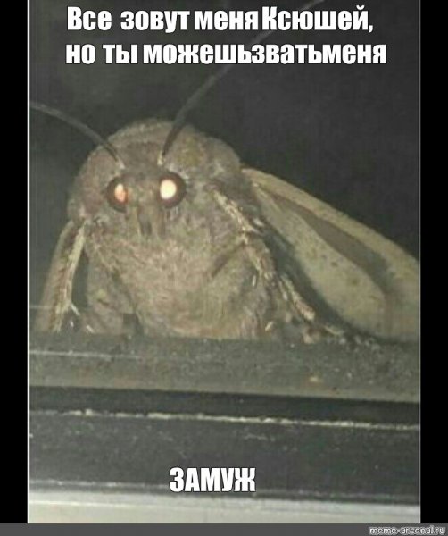 Ку ку епта Мем