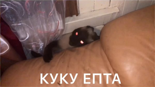 Ку-ку ёпта прикол