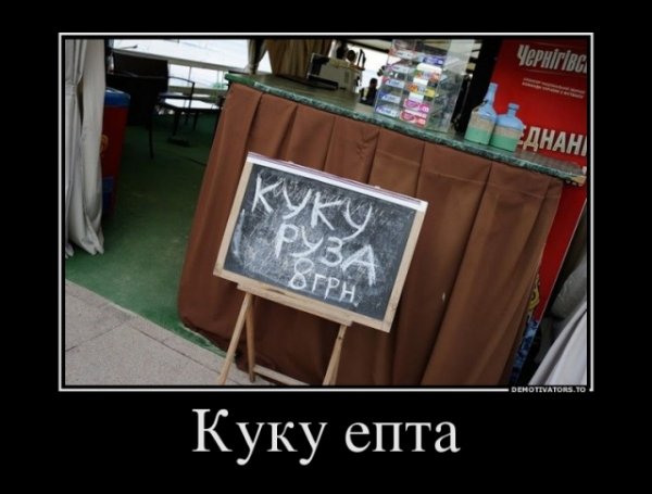 Ку ку епта прикол