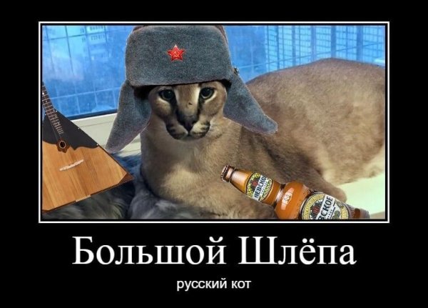 Шлепа русский кот
