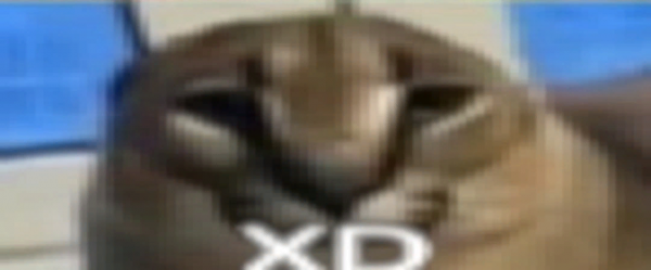 Флоппа XD