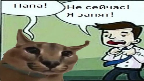 Весёлый шлёпа