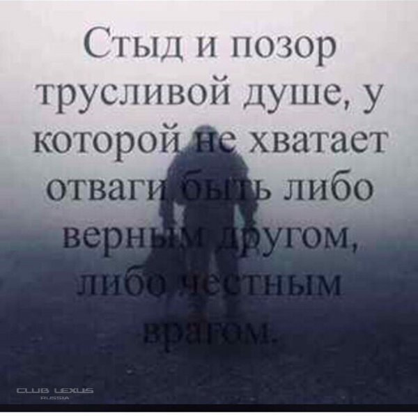 Цитаты позор трусливый душе