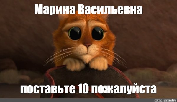 Поставьте 5