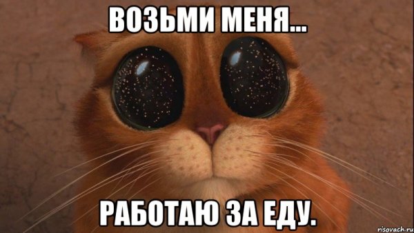 Поставьте 5