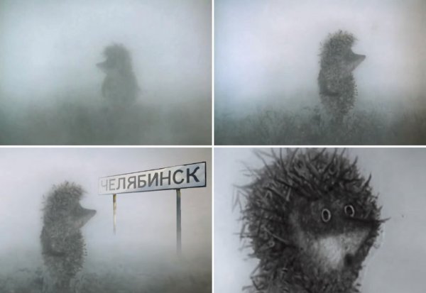 Ежик в тумане смешной