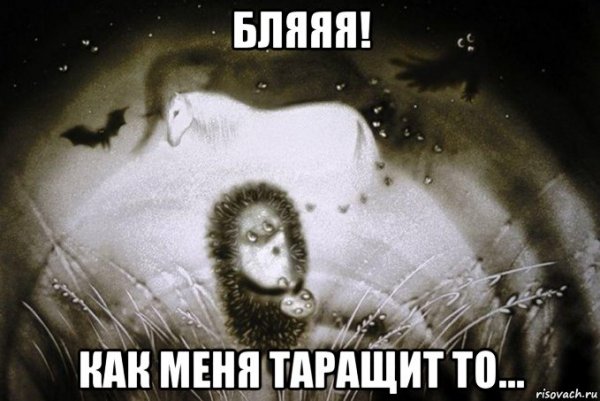 Мемы с ежиком в тумане