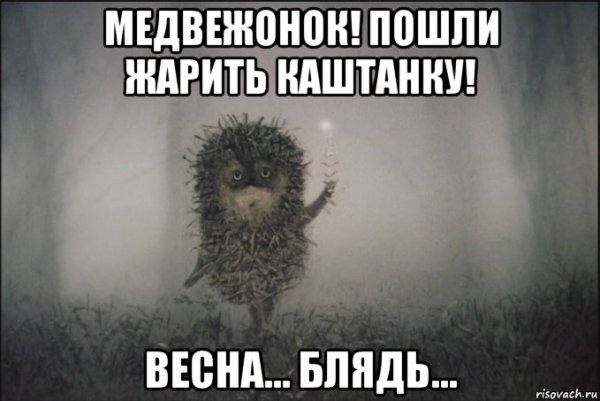 Ежик в тумане где все