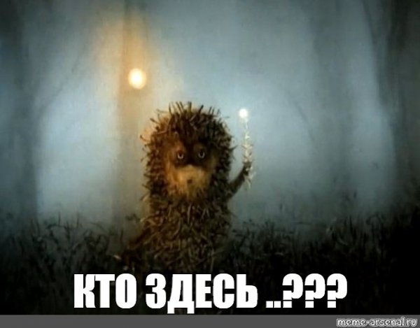 Ежик в тумане Мем