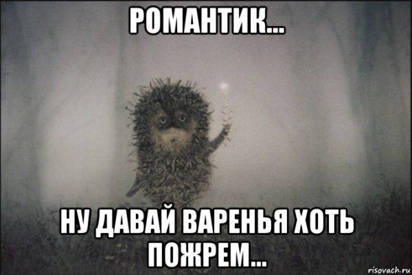 Ёжик в тумане мемы