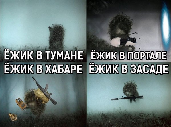 Ёжик в тумане прикол
