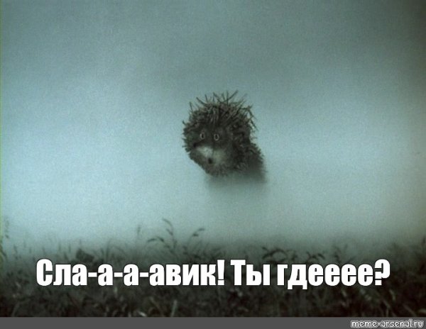 Мемы с ежиком в тумане