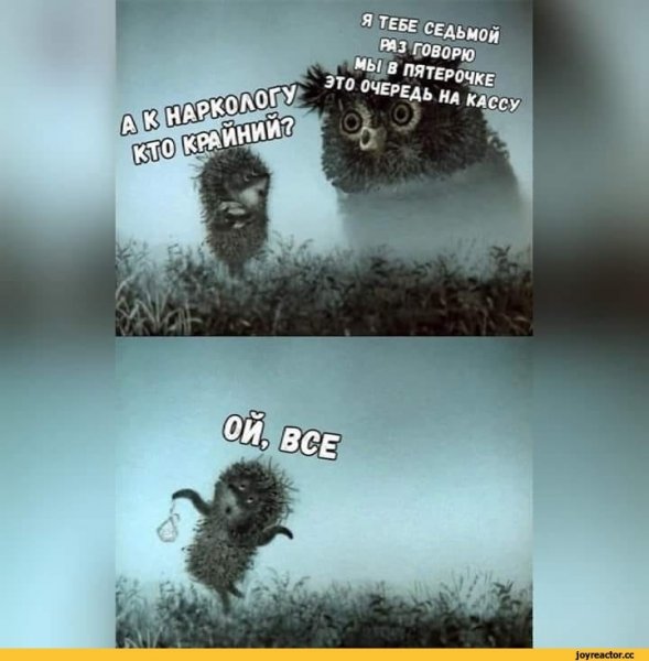 Ежик в тумане смешной