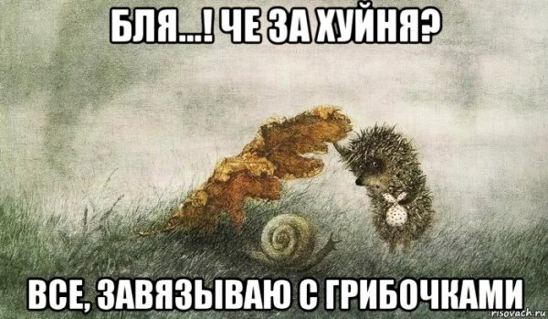 Лошадка Мем Ёжик в тумане
