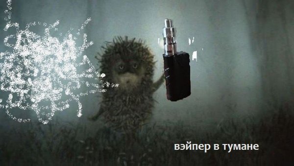 Ежик в тумане Мем