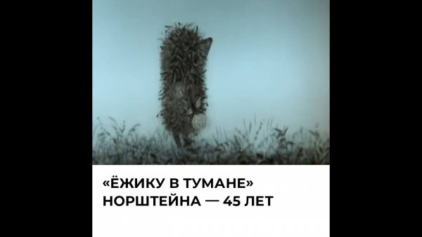 Мемы Ёжик в тумане тумане