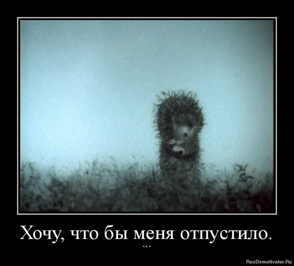 Настроение Ежик в тумане