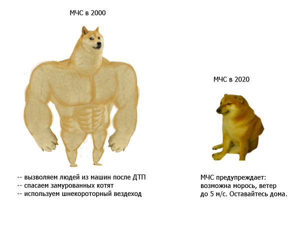 Мем собака до и после